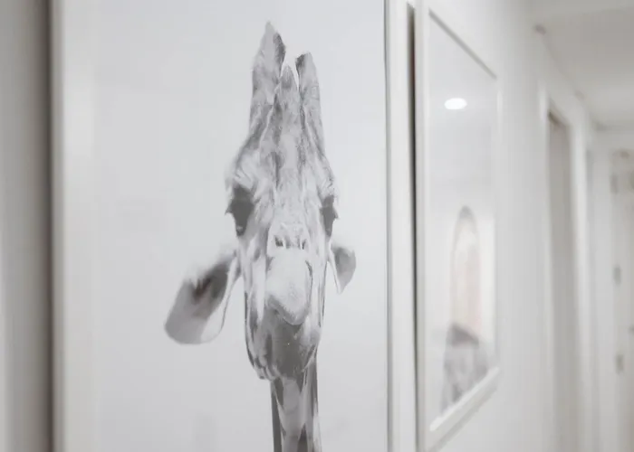 Turisticos A Tu Verita *